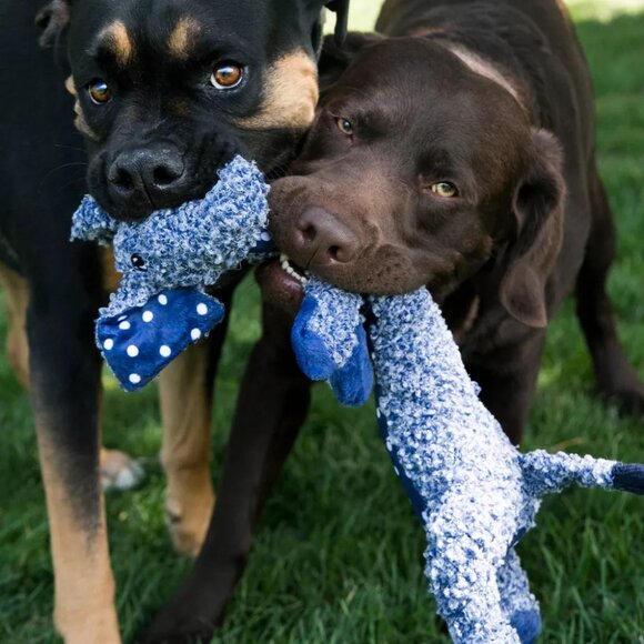 KONG Shakers Elephant Dog Toy – Small Size, Plush & Squeaky for Interactive Play - Picture 4 of 4